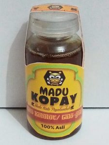 Manfaat madu galo-galo atau kelulut